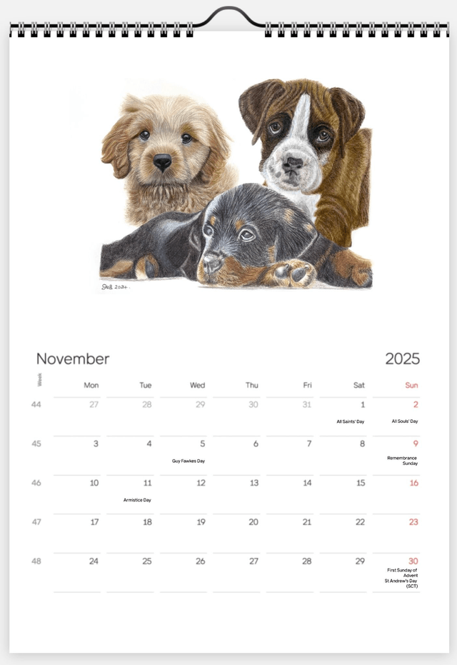 Calendar 2025