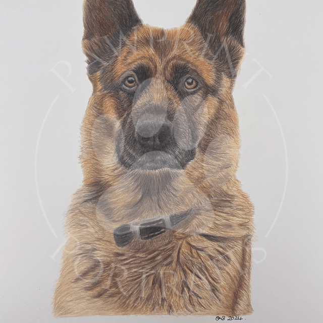 Pawprint Portrait Commission