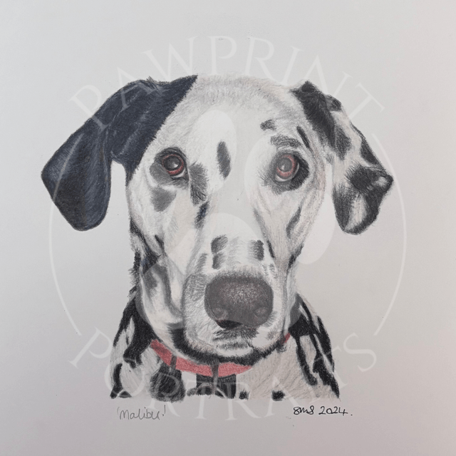 Pawprint Portrait Commission