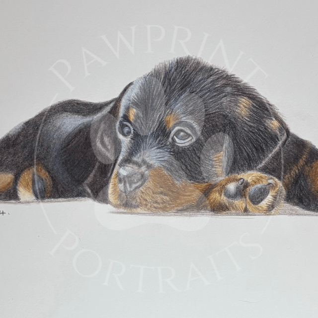 Pawprint Portrait Commission