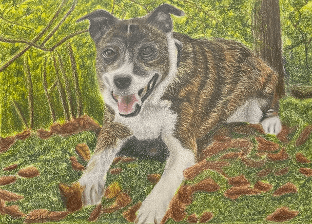 Pip