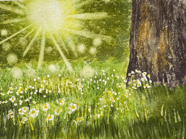 Morning Sunlight