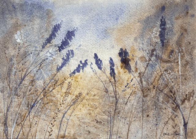 Lavender in the Undergrowth