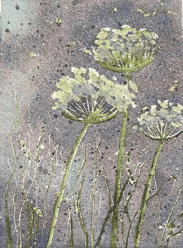 Wild Chervil