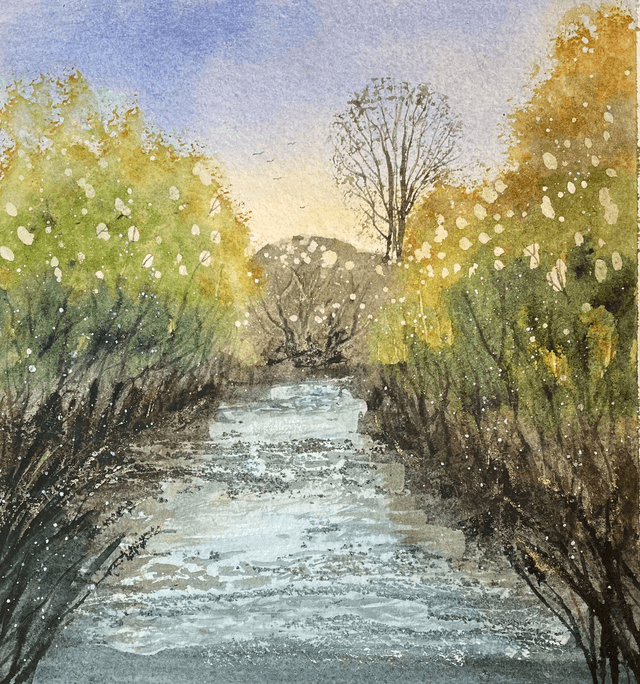 The River Dane, Congleton
